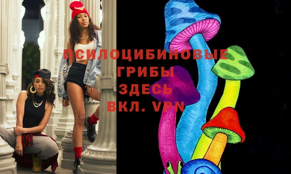 МДПВ Алексин
