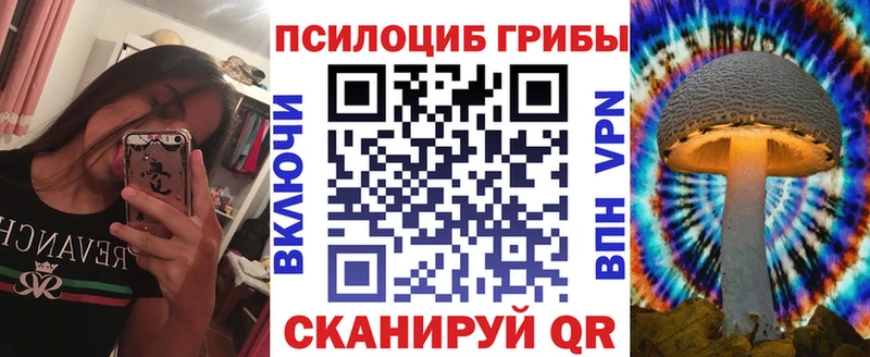 закладка  Адыгейск  Псилоцибиновые грибы Psilocybe 